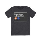 Downtown & Brooklyn NYC Subway
